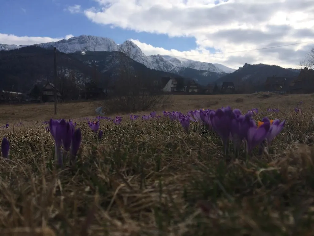 Dom Wypoczynkowy Jadzia Zakopane 0*,  Lengyelország